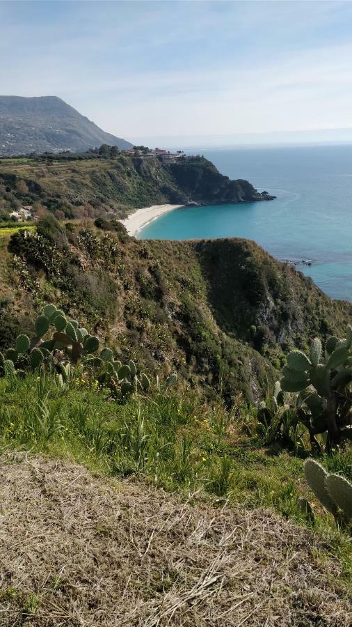 Ferienwohnung Dal Barone Agostino Capo Vaticano Exterior foto